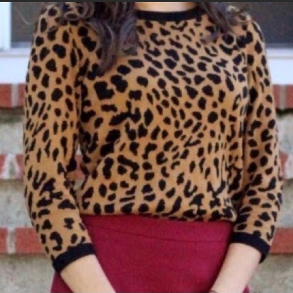 Talbot Leopard Sweater